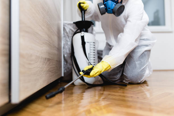 Best Ant Control Services  in Mims, FL