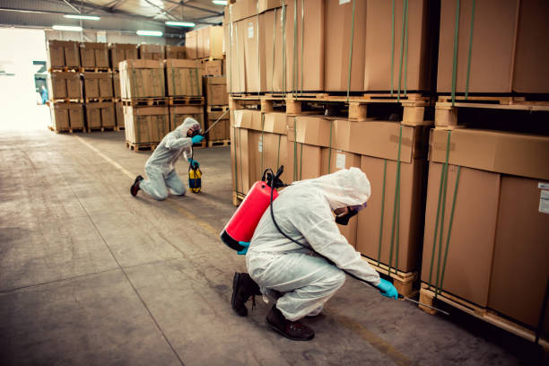Best Insect Control  in Mims, FL