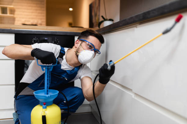 Best Pest Inspection Near Me  in Mims, FL