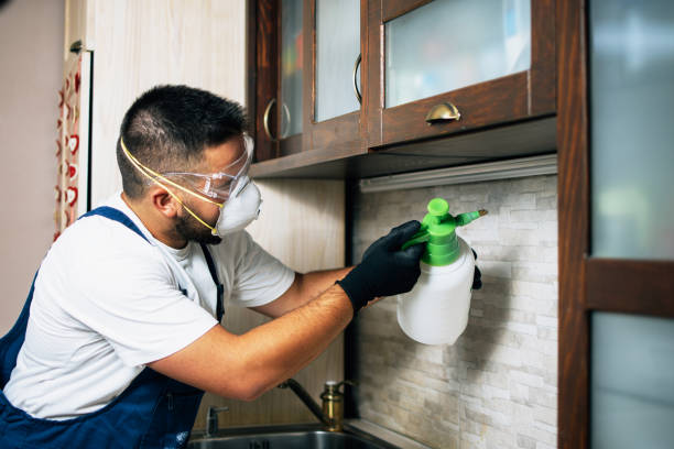 Best Termite Control Services  in Mims, FL