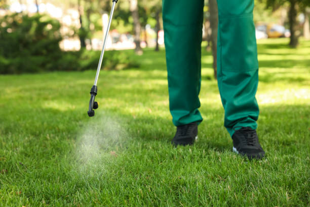 Pest Control for Restaurants in Mims, FL
