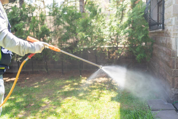 Best Pest Control Near Me  in Mims, FL