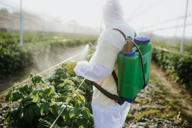 Insect Control in Mims, FL